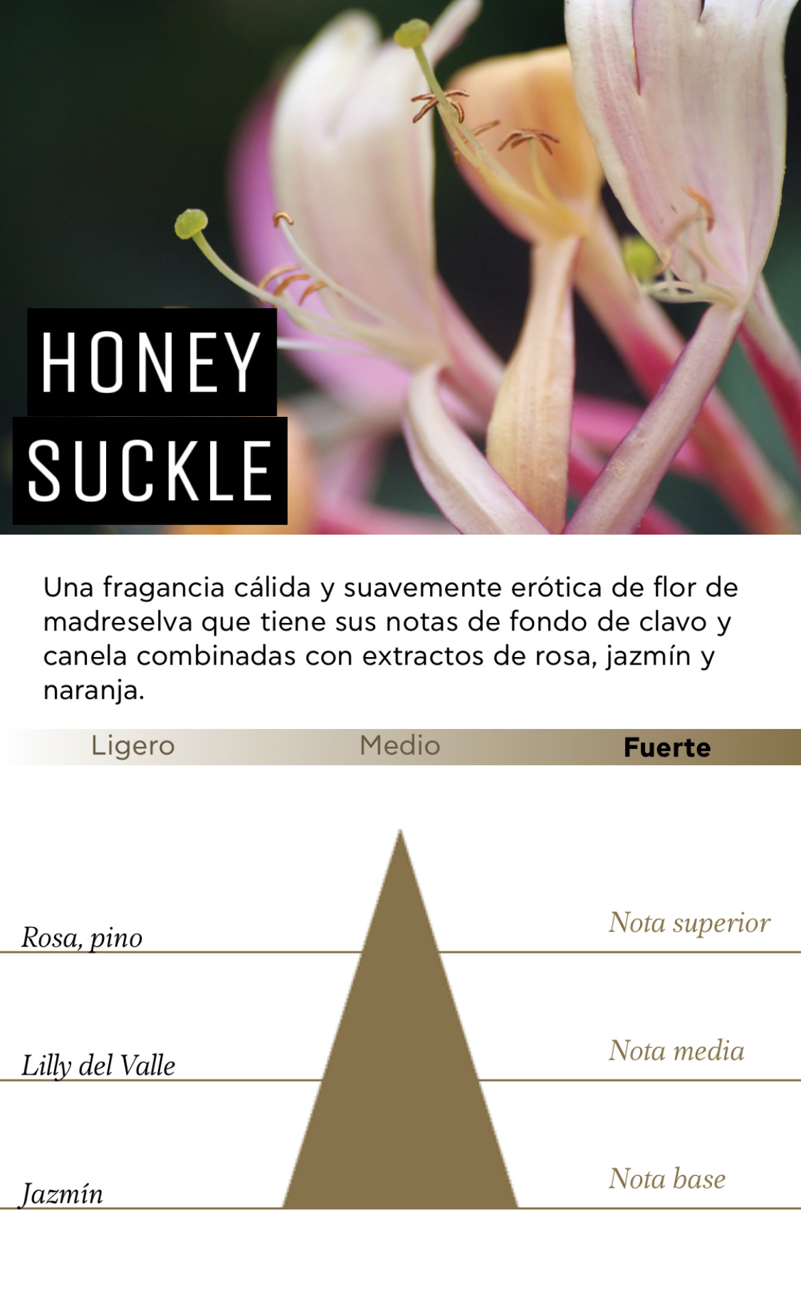 ULTRA SCENT ODOR PLUS | HONEY SUCKLE 500ml - Imagen 2