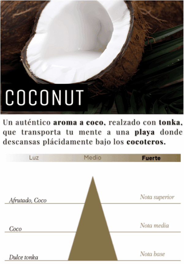 Difusor de Aroma 100 ml | Coconut - Imagen 2